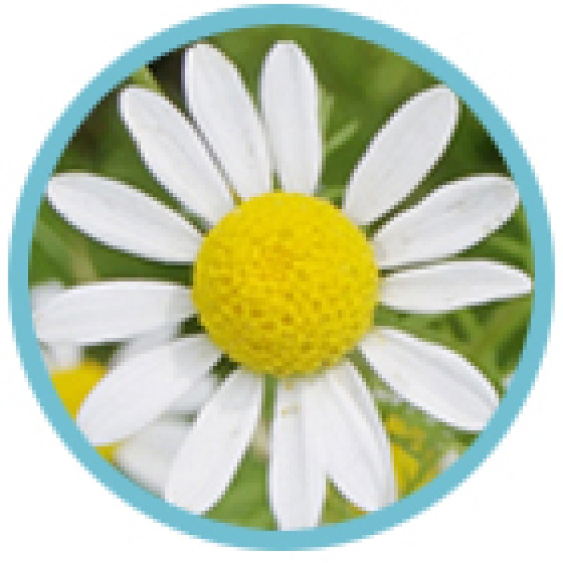 SENSITIVE SKIN (52)